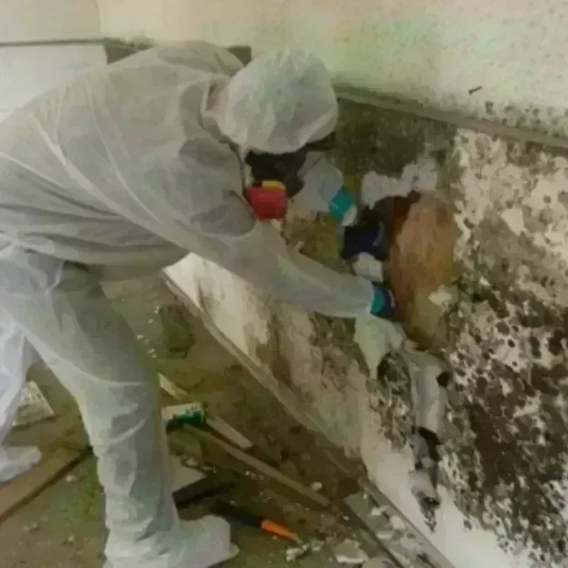 Mold Remediation and Removal in Orfordville, WI