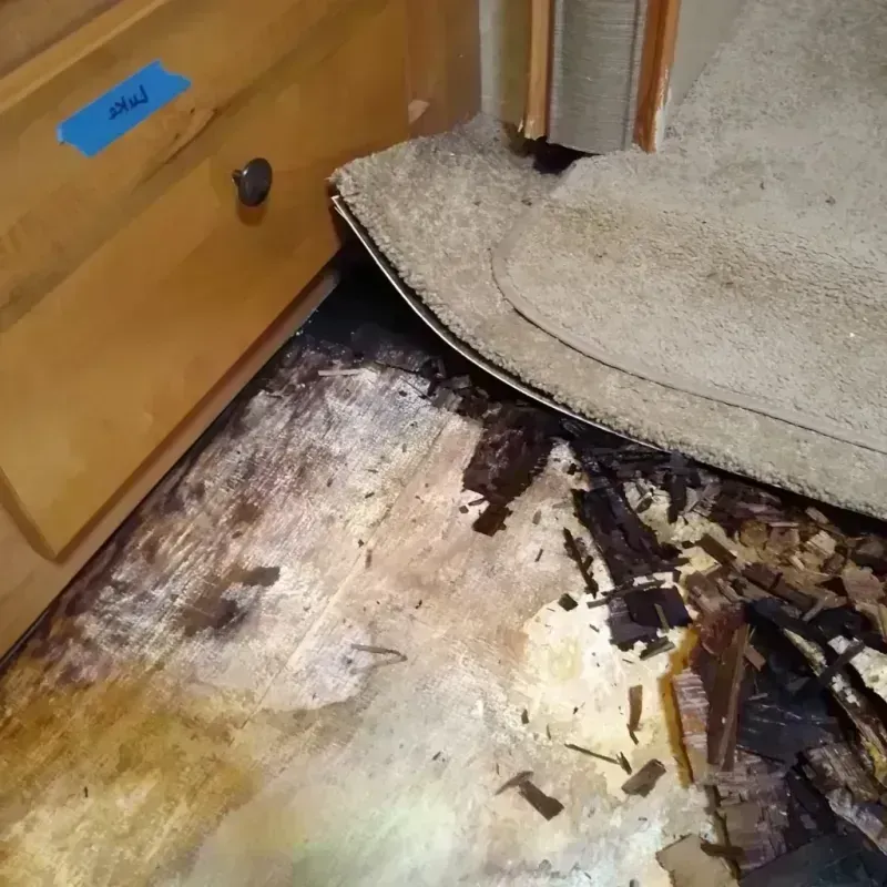 Best Wood Floor Water Damage Service in Orfordville, WI